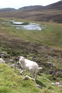 Slieve League (12)