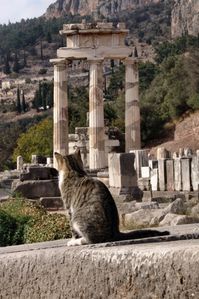 sites-historiques-delphes-grece-1338457643-1113330