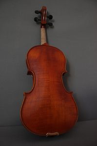 IMG 4975