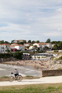 IMG_4940.jpg