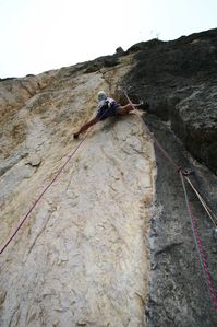 grd-manti-8.jpg