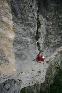 grd-manti7.jpg