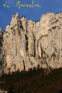 la-maiastra-copie-1.jpg