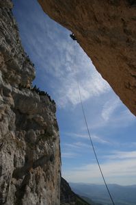 pestel-040.JPG