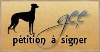 icone-petition-parlement-europeen-signer-galgos-ethique-eur