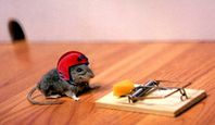 extreme sport mouse
