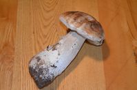 Recolte-Ballade-au-moulinet 0003