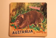 Dessous de verre Wombat