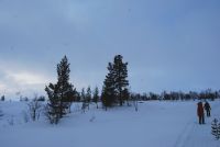 trail