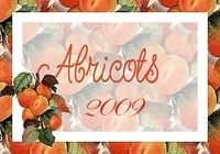abricots2009