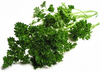 persil-frise---branches.png