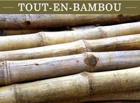 Objets publicitaires en bambou bois