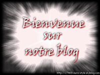 bienvenue2.jpg