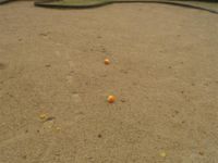WP_000185--Small-.jpg