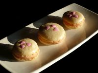 Macarons Patissiers-copie-1