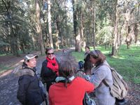 Biking tour. Ponte de Lima. 29.11.2012 038 (1)