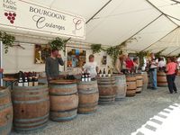 Fleurs de Vignes 2014 5