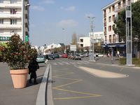DSC03631