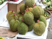 Durian