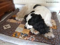 Abby-et-son-quilt-bo.jpg