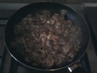 IMG033.JPG