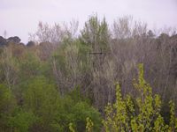 100411--1--Motoplaneur-Charly.jpg