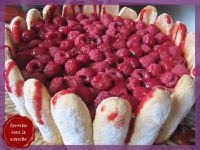 Charlotte aux framboises4