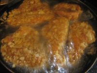 kfc 055