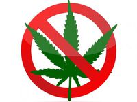 Cannabis interdit