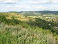 Coteaux calcaires des Bagnettes (Allier) 0964