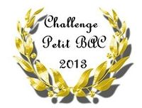 challenge-petit-bac-2013.jpg