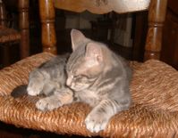 DSCF0069