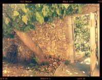 Lomogram 2012-08-09 01-40-35-PM