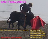 voeux2010.jpg