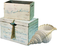 CAJ.SCR.FR-SEA-LIFE-54.png