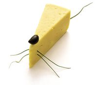 cheese_mouse.jpg