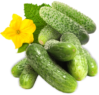cornichon---avec-fleur.png