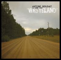 antoine-berjeaut-wasteland.jpg