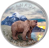 canada 2011 grizzly