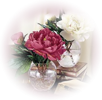 CAJOLINE123426336484_art.png