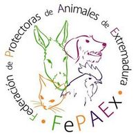 Copia--de-fepaexlogo-colorines.jpg