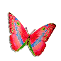 papillon2