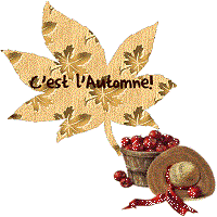 14.09.23 Automne