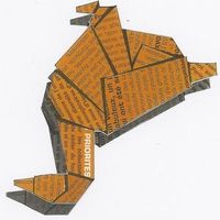 le-Canard---l-Orange-est-tourneboul-.jpg