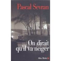 3-On-dirait-qu-il-va-neiger.jpg