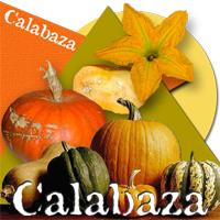 Badge calabaza200