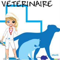 veterinaire-oksa12_ydq--Medium-.jpg