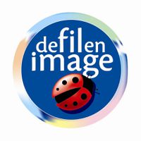 logo-dfei-hautedef.jpg