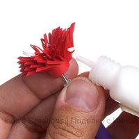 double-fringed-flowers-08