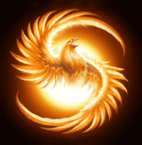 phenix 1